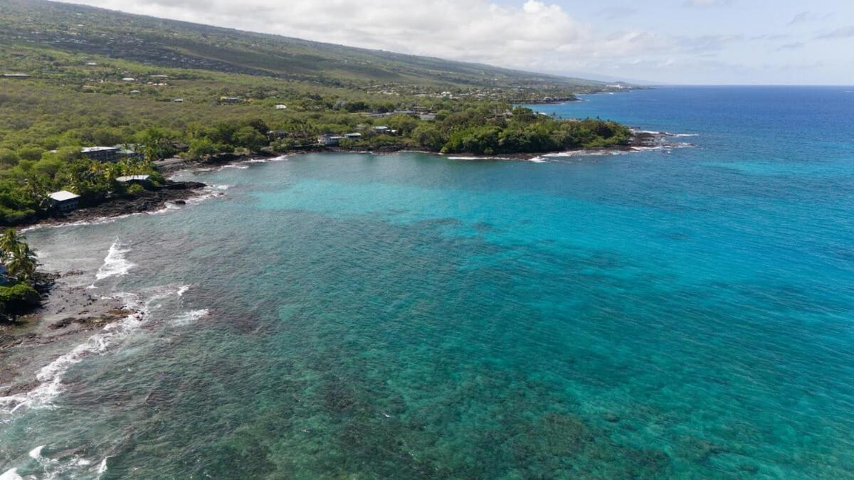 Oceanfront 1 Bedroom 2 Bathroom With Large Lanai - Kona Bali Kai 218 Kailua-Kona Exteriör bild