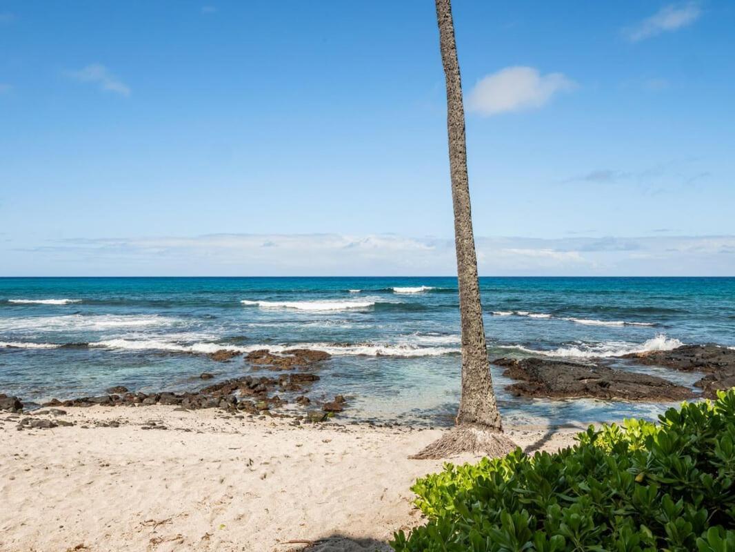 Oceanfront 1 Bedroom 2 Bathroom With Large Lanai - Kona Bali Kai 218 Kailua-Kona Exteriör bild