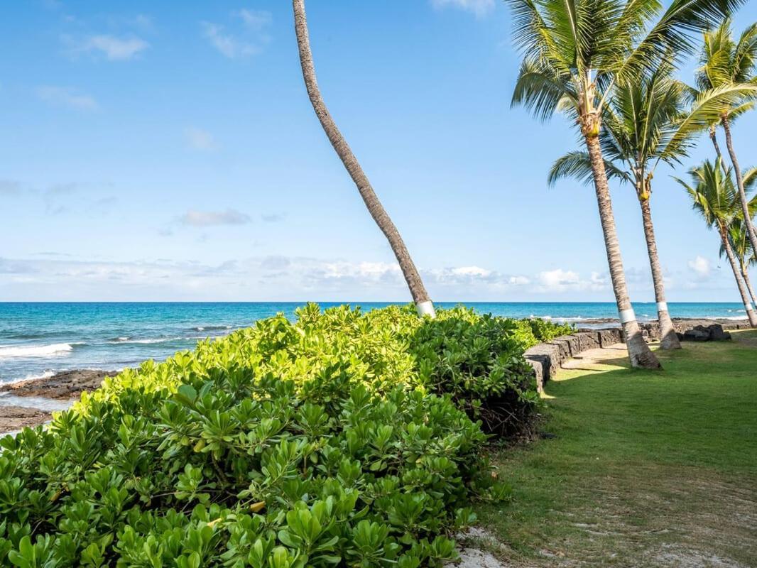 Oceanfront 1 Bedroom 2 Bathroom With Large Lanai - Kona Bali Kai 218 Kailua-Kona Exteriör bild