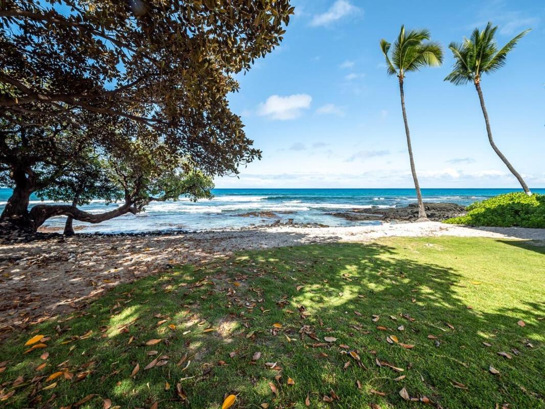 Oceanfront 1 Bedroom 2 Bathroom With Large Lanai - Kona Bali Kai 218 Kailua-Kona Exteriör bild